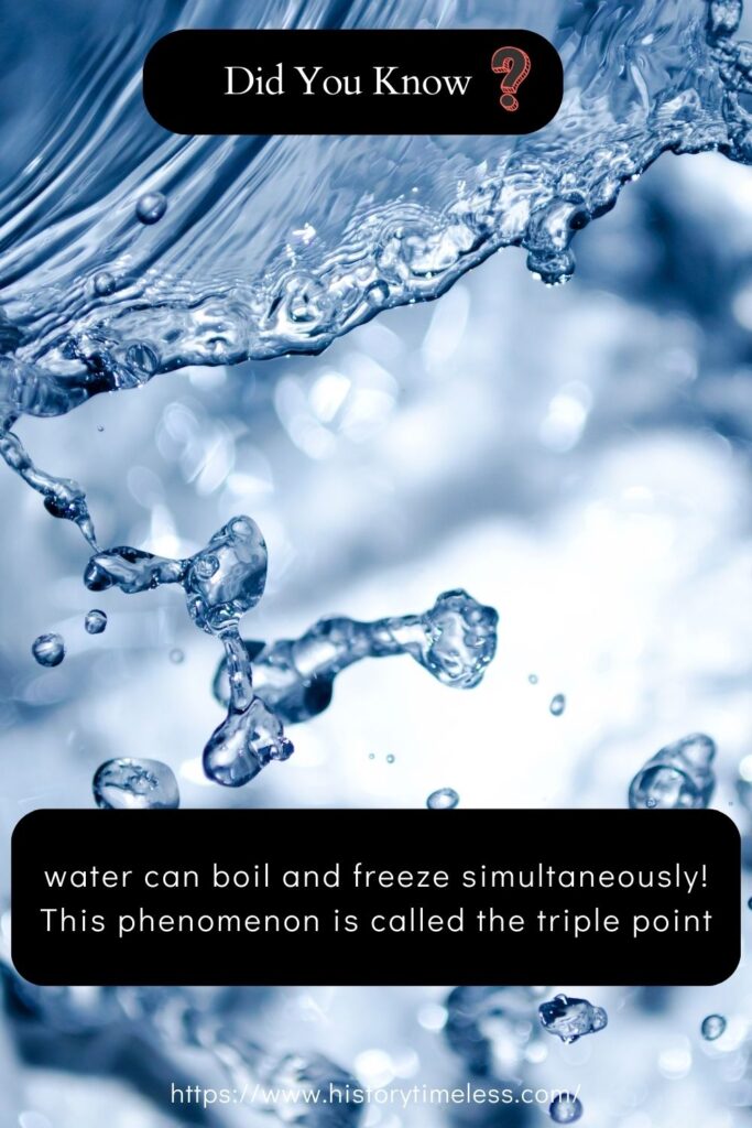 some amazing facts