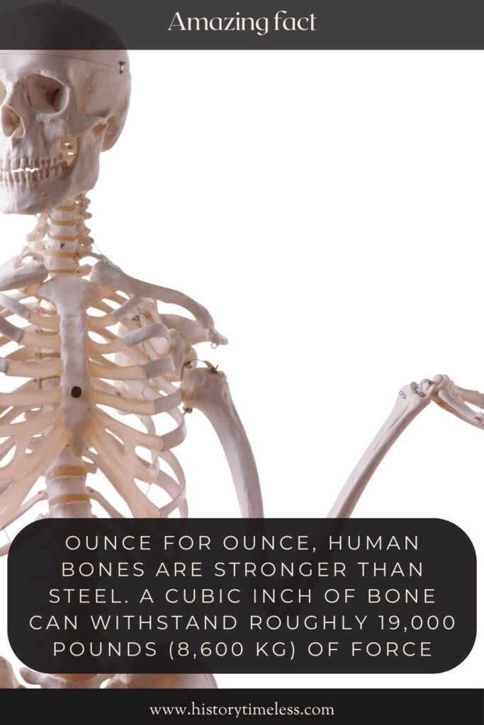 10 Interesting Facts