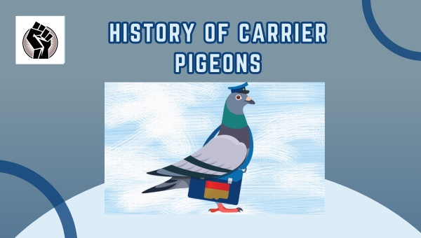 History Of Carrier Pigeons