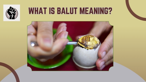 What is Balut Meaning?