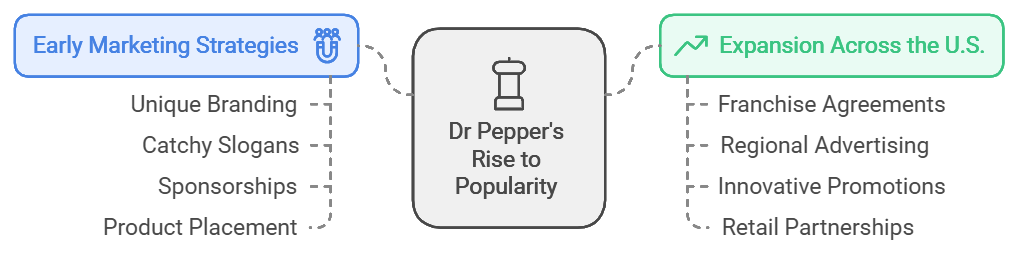 Dr Pepper's Rise to Popularity