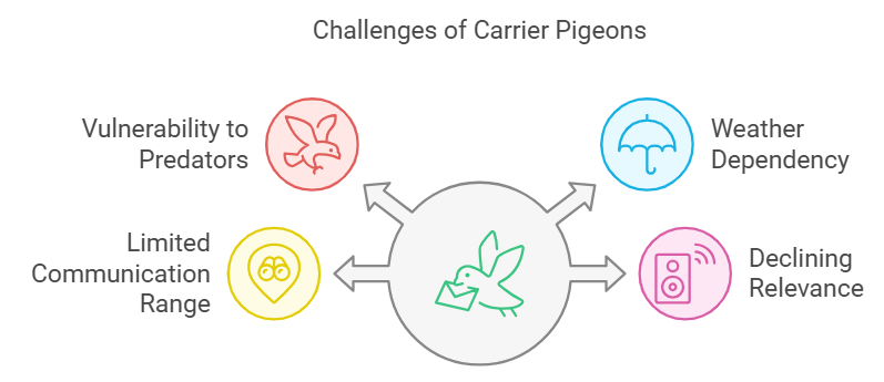 Challenges of Carrier Pigeons