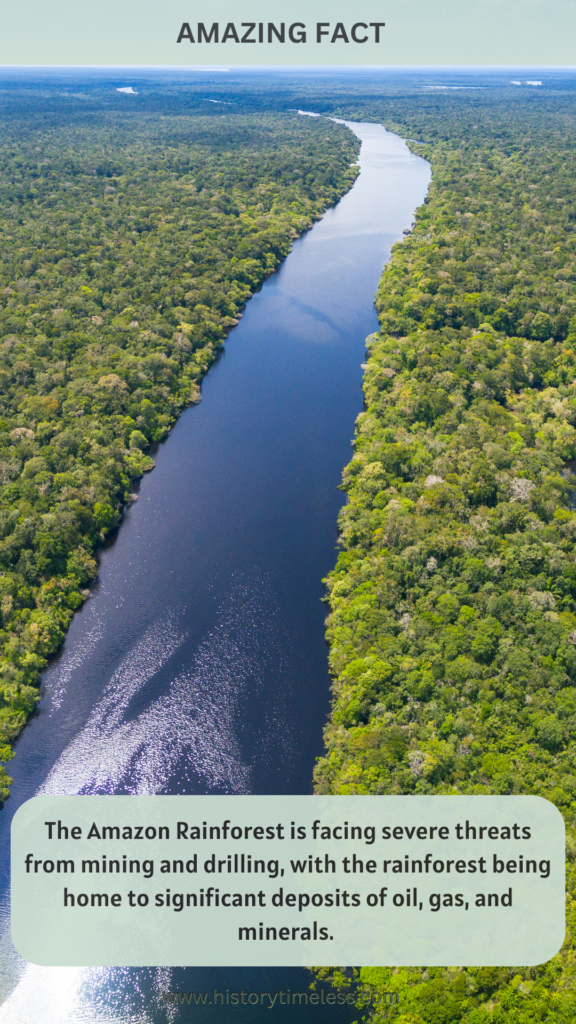 Facts About the Amazon Rainforest