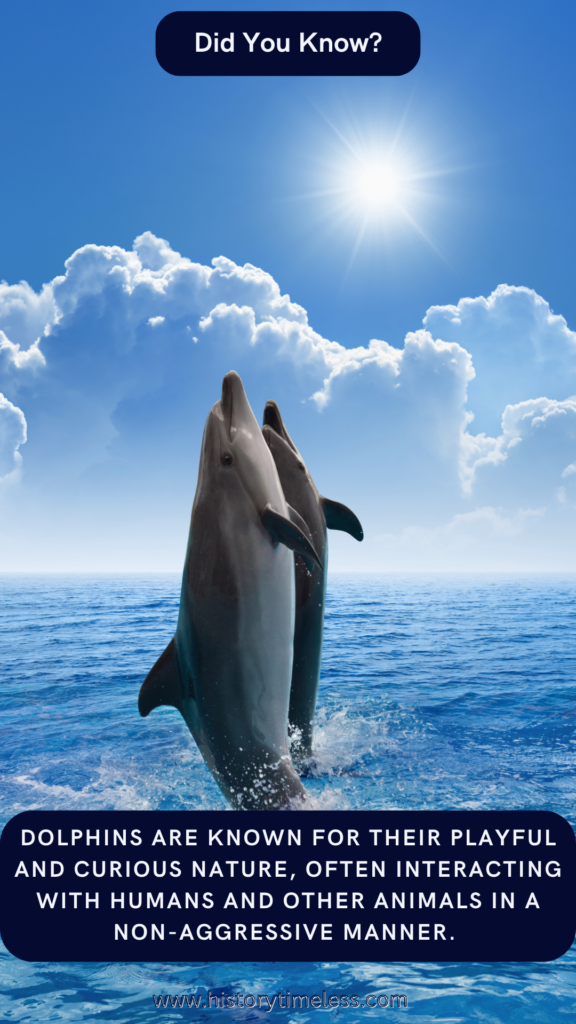 Facts About Dolphins