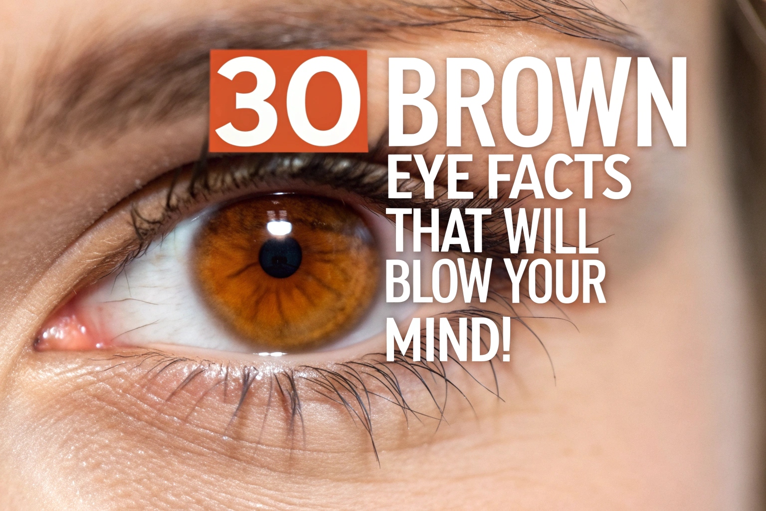 Brown Eye Facts